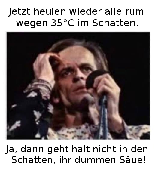 Jetzt heulen wieder alle rum  - ..wegen 35°C im Schatten. - Ja, dann geht halt nicht in den Schatten, ihr dummen Säue!