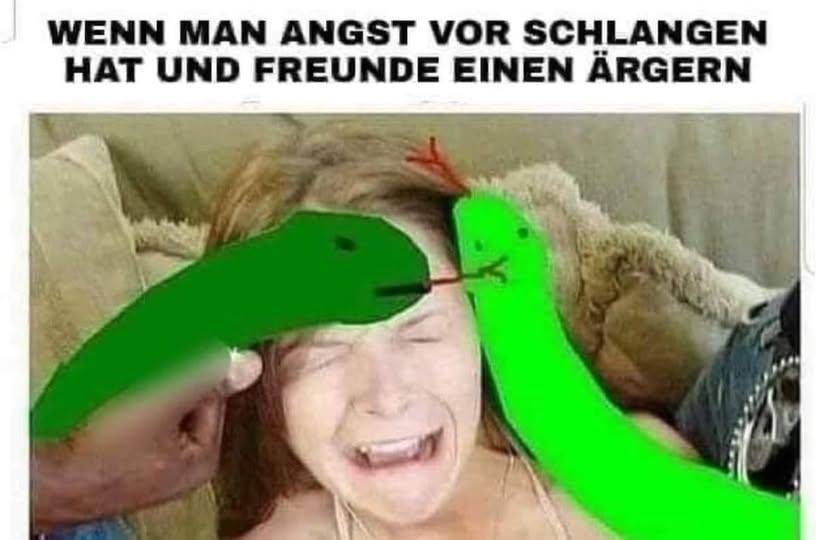 WENN MAN ANGST  - VOR SCHLANGEN HAT UND FREUNDE EINEN ÄRGERN