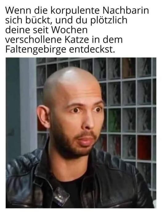 Wenn die  - korpulente Nachbarin sich bückt, und du plötzlich deine seit Wochen verschollene Katze in dem Faltengebirge entdeckst.