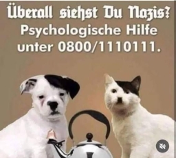 Überall siehst Du Nazis?