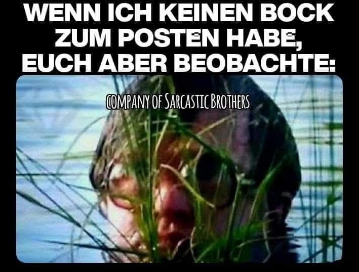 WENN ICH  - KEINEN BOCK ZUM POSTEN HABE, EUCH ABER BEOBACHTE: