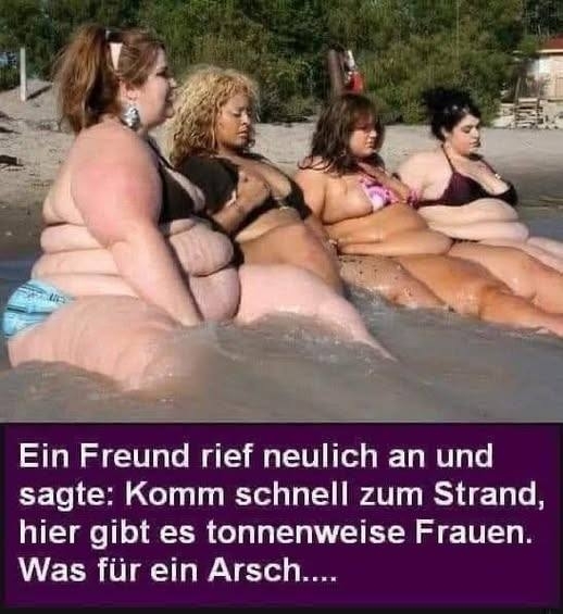 Ein Freund rief neulich an  - und sagte: Komm schnell zum Strand, hier gibt es tonnenweise Frauen. Was für ein Arsch....