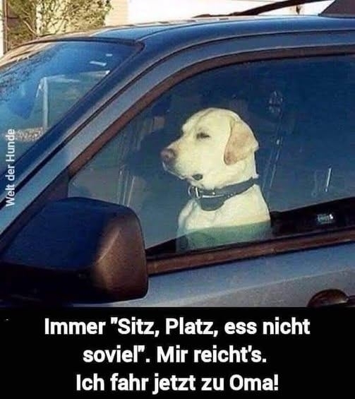 Immer "Sitz,  - Platz, ess nicht soviel". Mir reicht`s. Ich fahr jetzt zu Oma!