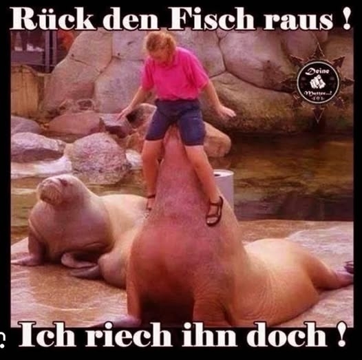 Rück den Fisch raus ! - Ich riech ihn doch !