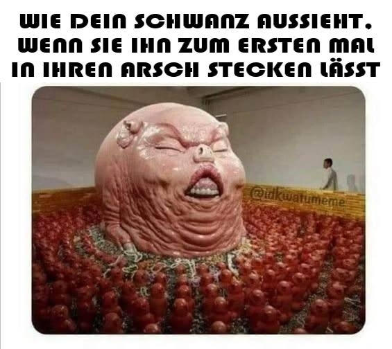 WIE DEIN SCHWANZ AUSSIEHT,  - WENN SIE IHN ZUM ERSTEN MAL IN IHREN ARSCH STECKEN LÄSST