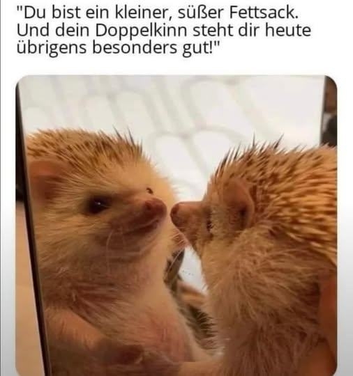 "Du bist ein kleiner,  - süßer Fettsack. Und dein Doppelkinn steht dir heute übrigens besonders gut!"
