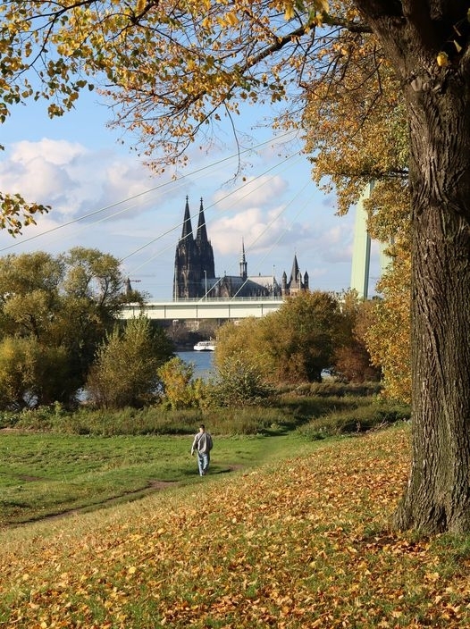 Köln - Goldener Herbst.