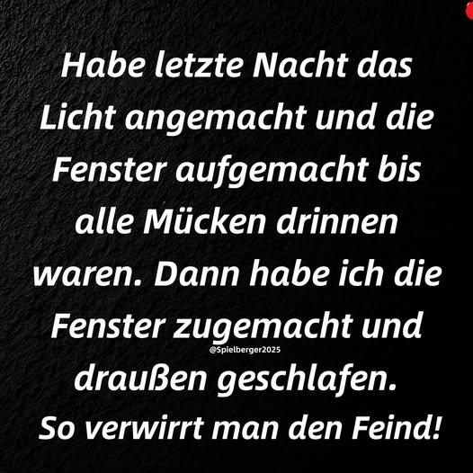 Habe letzte Nacht  - das Licht angemacht und die Fenster aufgemacht bis alle Mücken drinnen waren. Dann habe ich die Fenster zugemacht und draußen geschlafen. So verwirrt man den Feind!