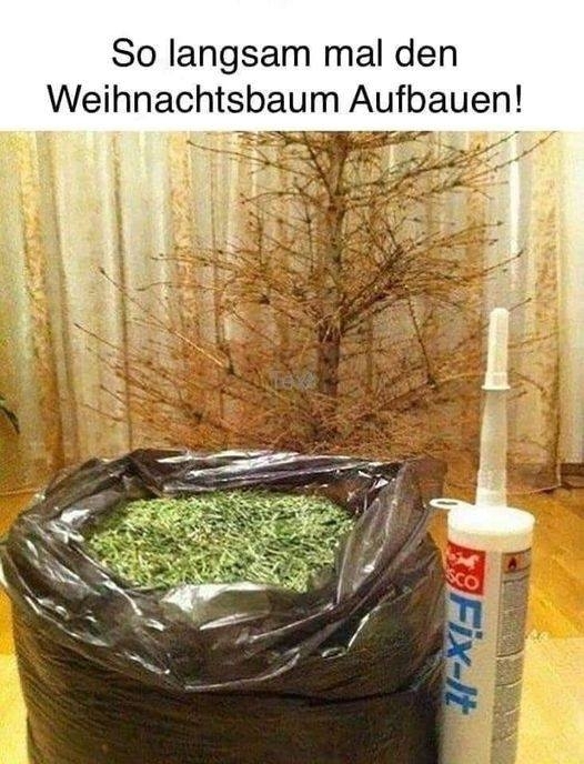 So langsam mal den Weihnachtsbaum Aufbauen!