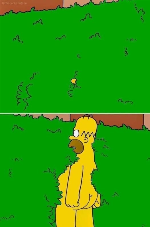 Homer Simpson