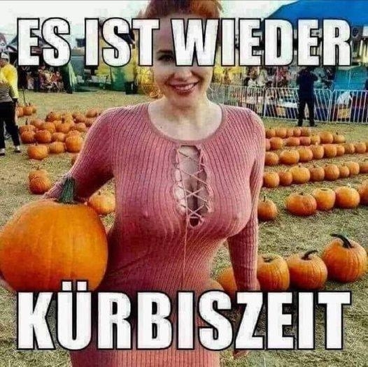 ES IST WIEDER KÜRBISZEIT