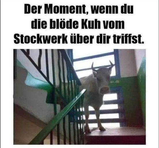 Der Moment, wenn du die blöde Kuh vom Stockwerk über dir triffst.