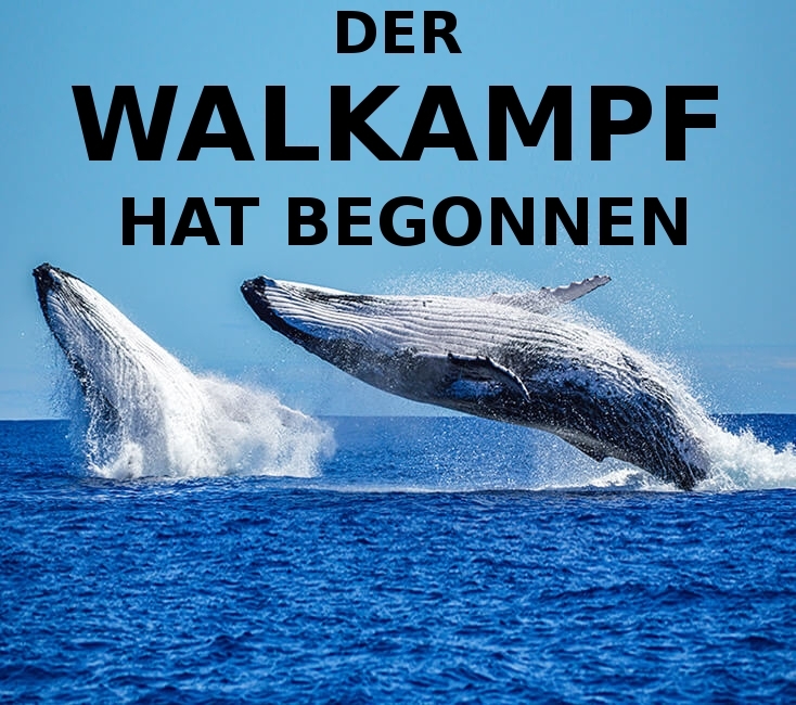 DER WALKAMPF HAT BEGONNEN