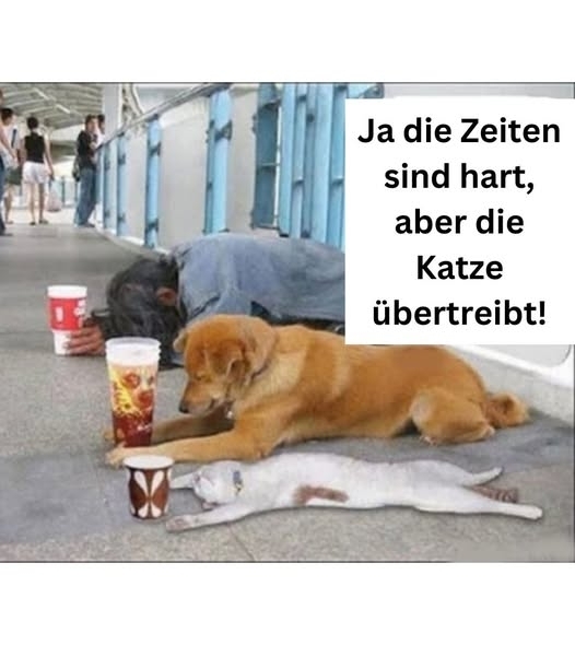 Ja die Zeiten sind hart, aber die Katze übertreibt!