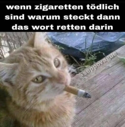 wenn zigaretten tödlich sind warum steckt dann das wort retten darin
