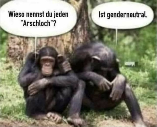 Wieso - nennst du jeden "Arschloch"? - Ist genderneutral.