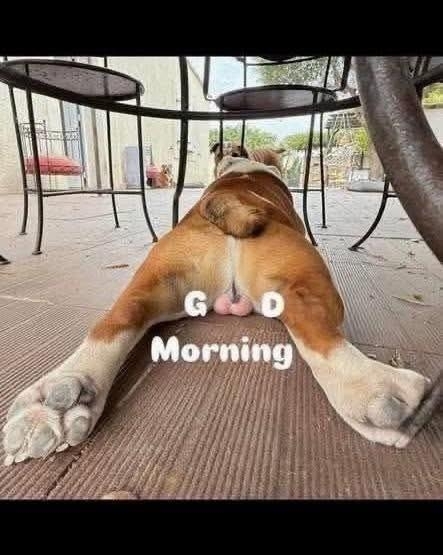 GOOD - Morning
